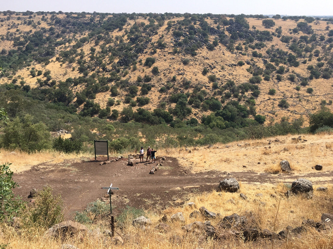 Meshushim Stream Nature Reserve-Had Nes必去景点