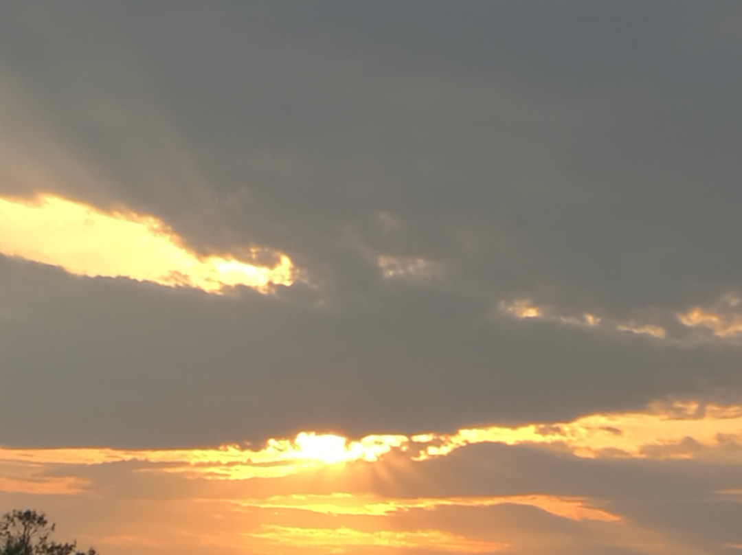 御道口牧场-围场县必去景点