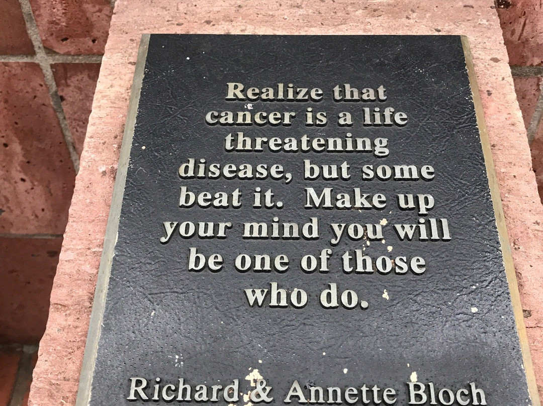 Richard and Anne Bloch's Cancer Survivors Park and Plaza-新奥尔良必去景点