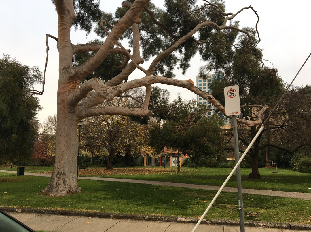 Rockley Gardens-图拉克必去景点