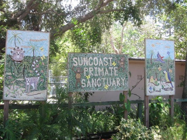 Suncoast Primate Sanctuary景点图片