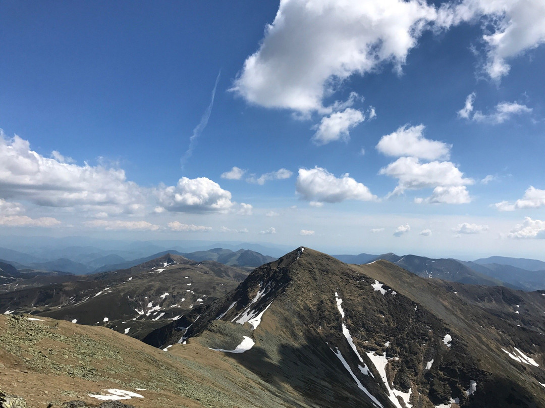 Pietrosul Rodnei Peak景点图片