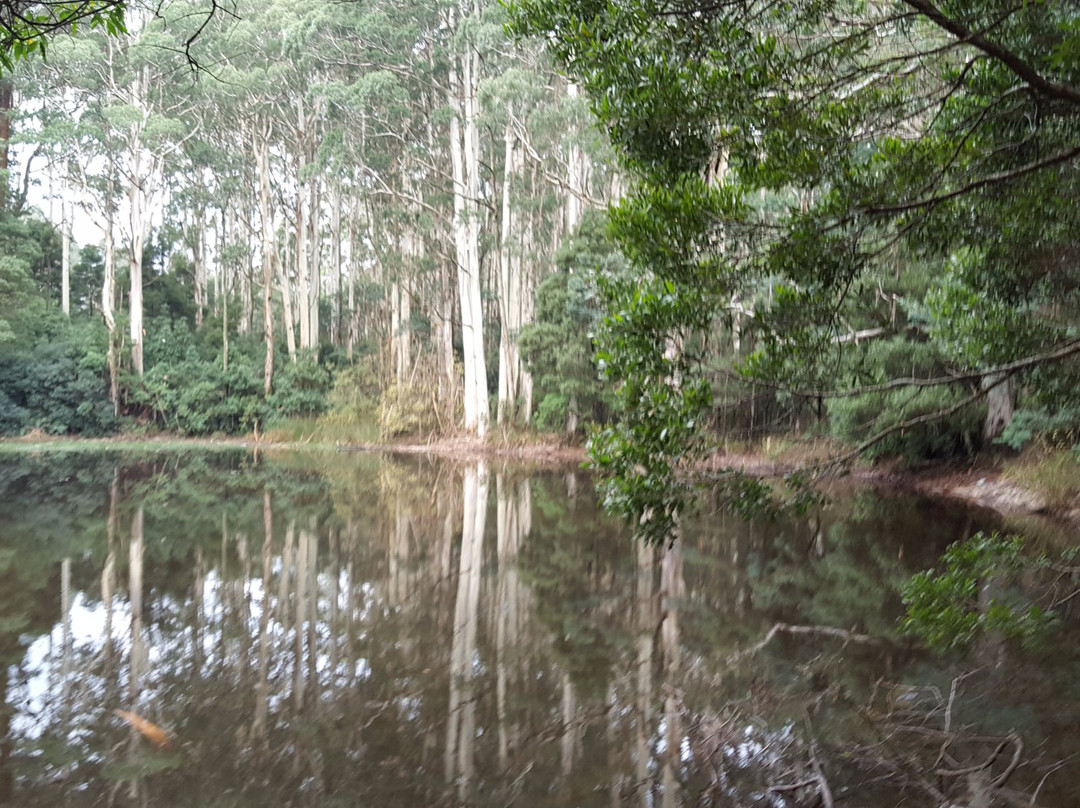 马其顿山旅游景点-Sanatorium Lake