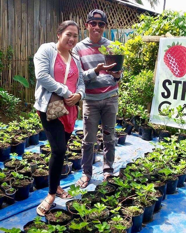 Libtong Strawberry Garden-Naval必去景点