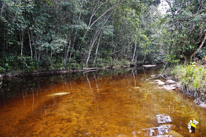 El Pauji-卡奈玛国家公园必去景点