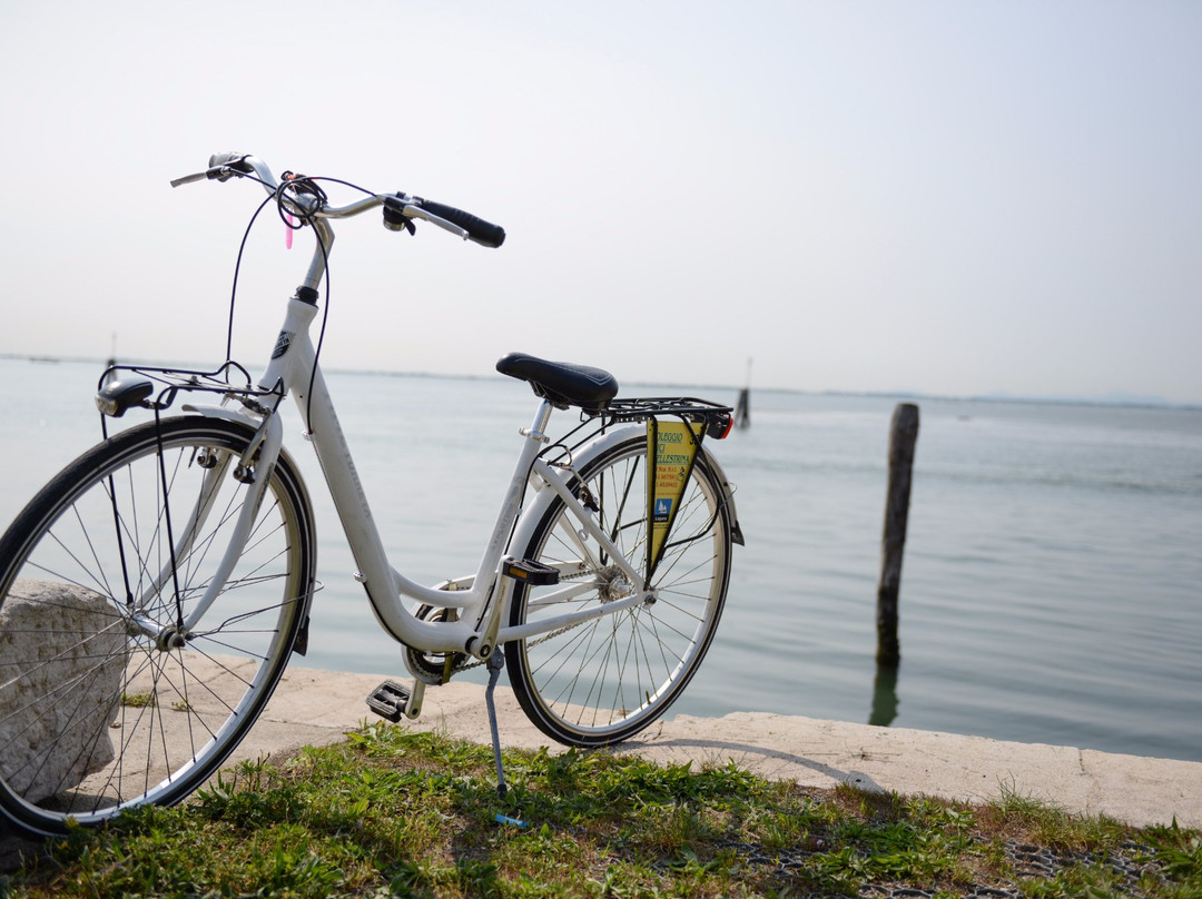 Noleggio Bici ViSca srl