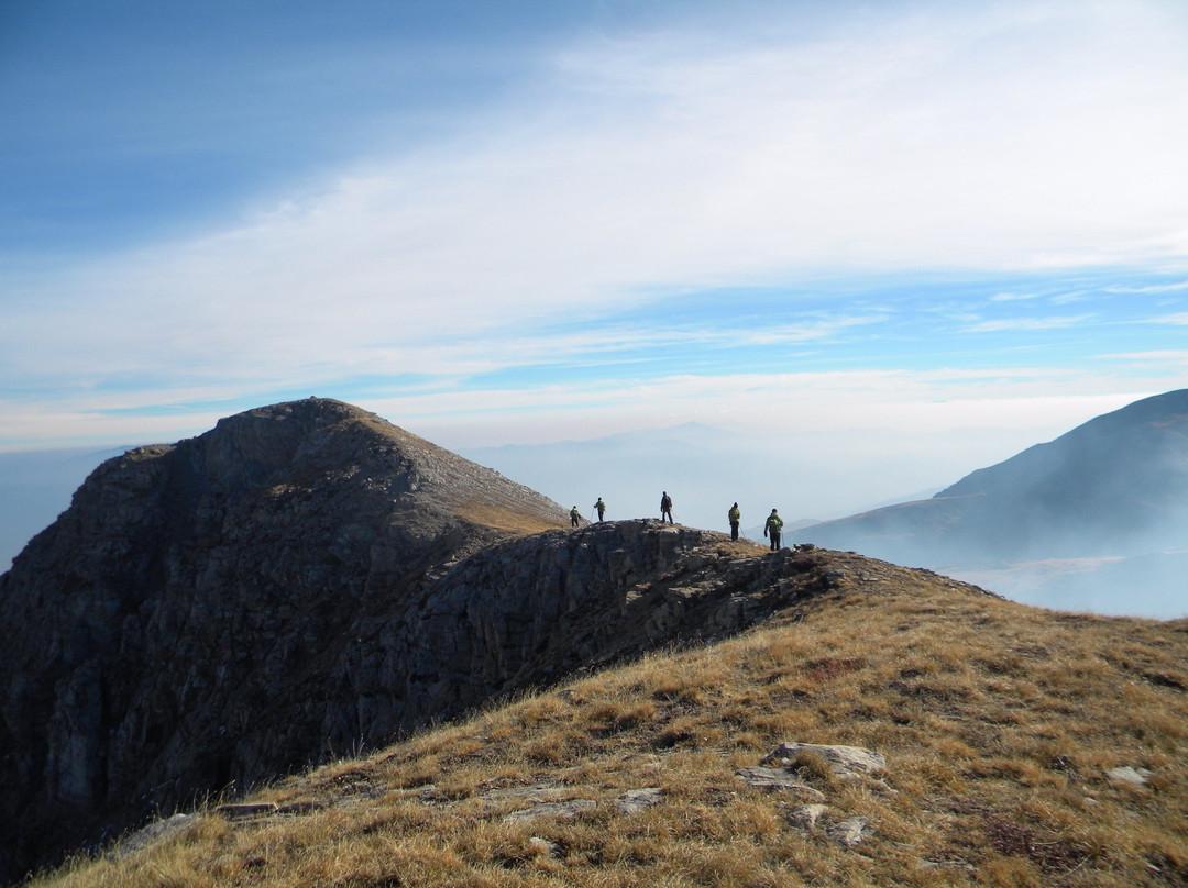 Mountain Experience景点图片