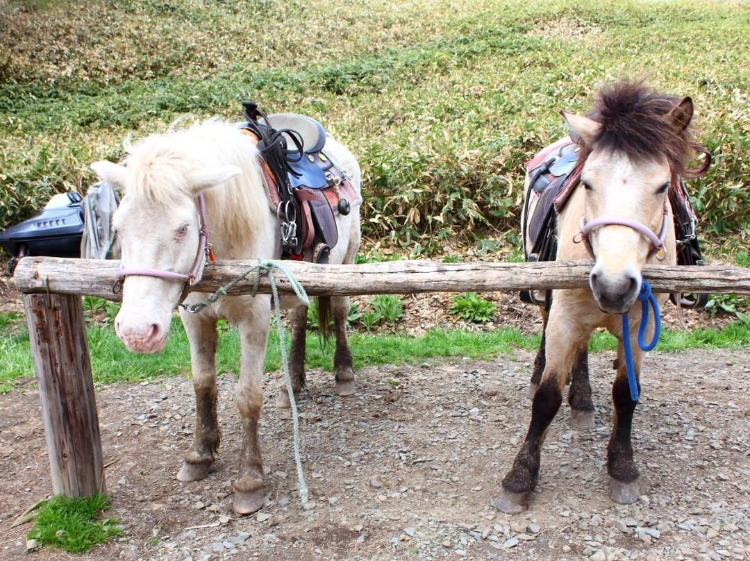 Dosanko Farm Hakodate-函馆市必去景点