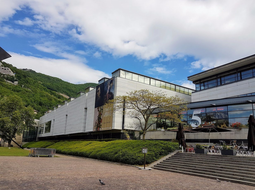 Musée de Grenoble景点图片
