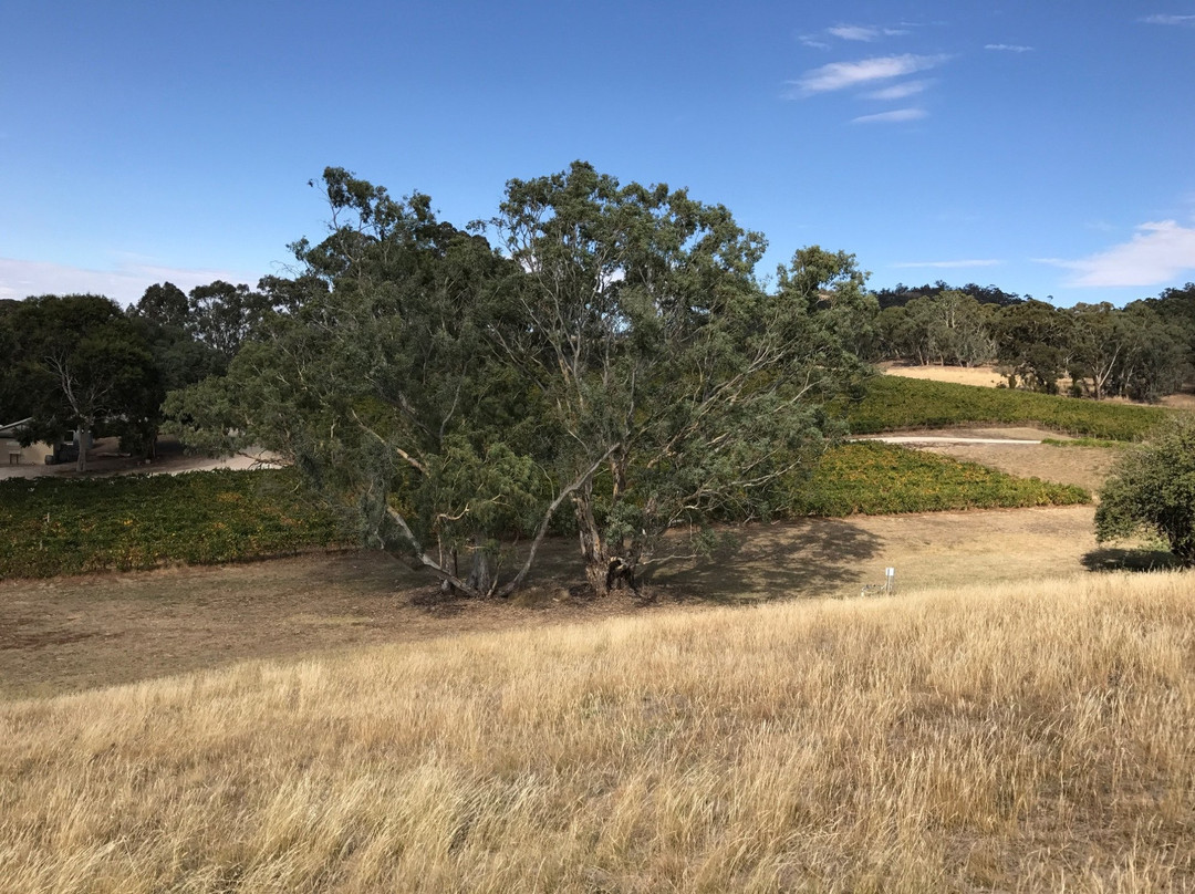 Penna Lane Wines-Penwortham必去景点