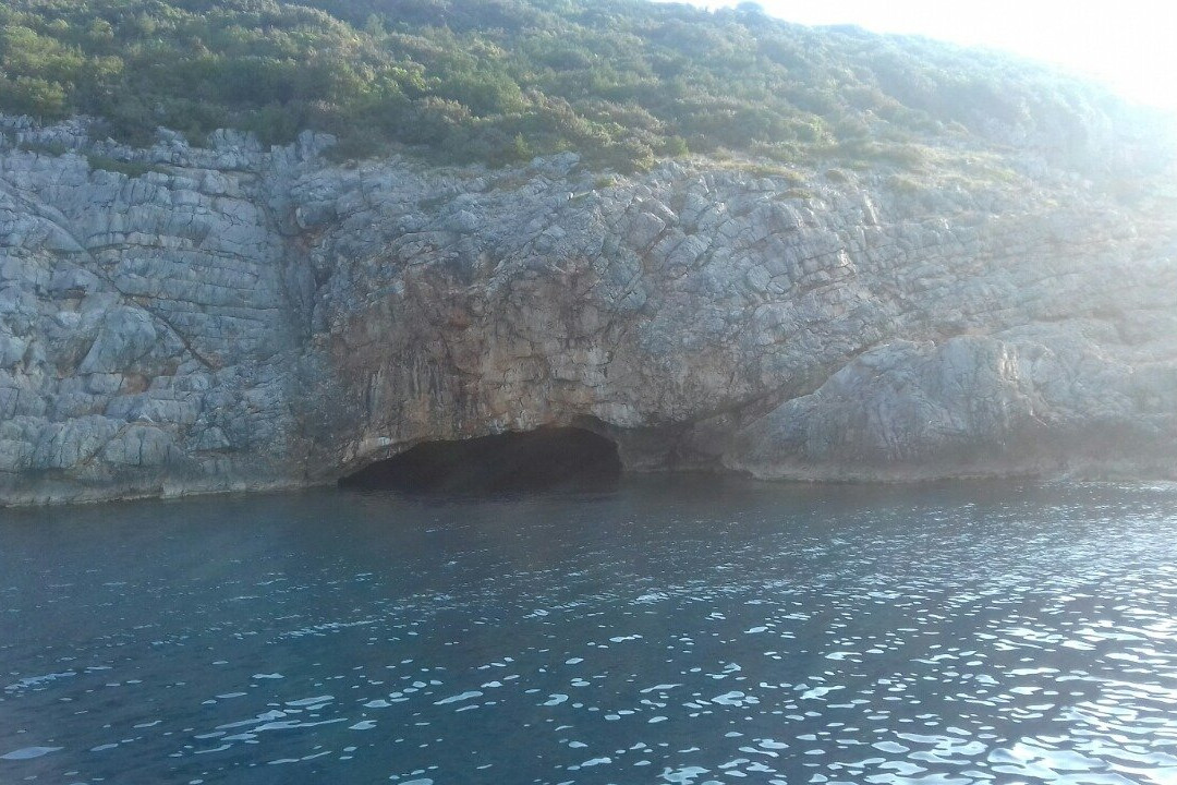 Delfin Boats景点图片