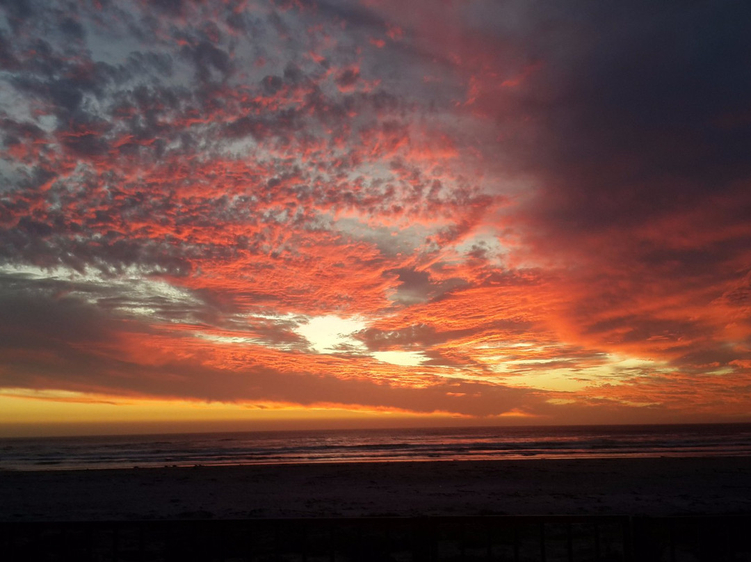 West Coast Way-开普敦中心区必去景点