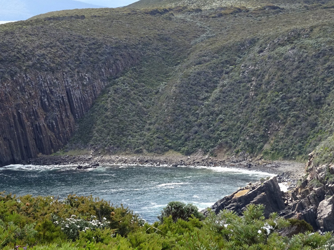 Bruny 4x4 Forest to Coast Adventures-霍巴特必去景点