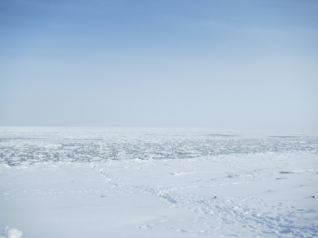 Omusaro Genseikaen-纹别市必去景点