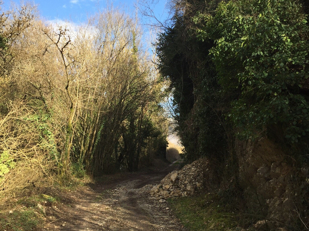 Sentiero della Ferrovia景点图片