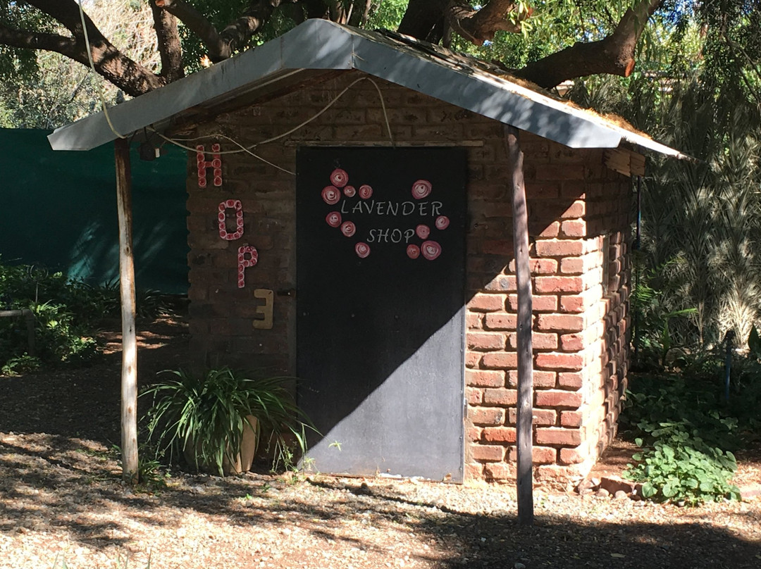 Vanderkloof酒店住宿-Lavender House B & B