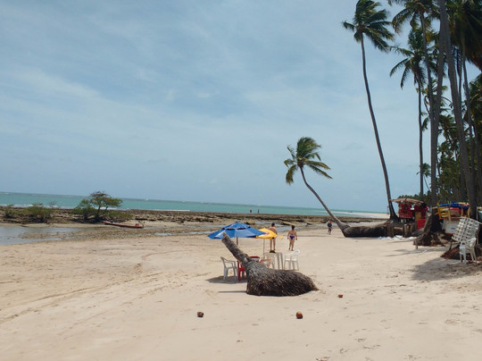 AGF Turismo Passeios e Traslados-累西腓必去景点