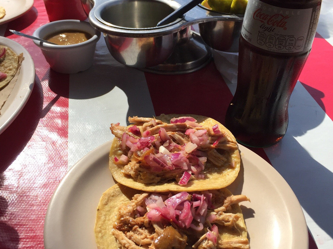 La Terraza Amarilla De San Fernando