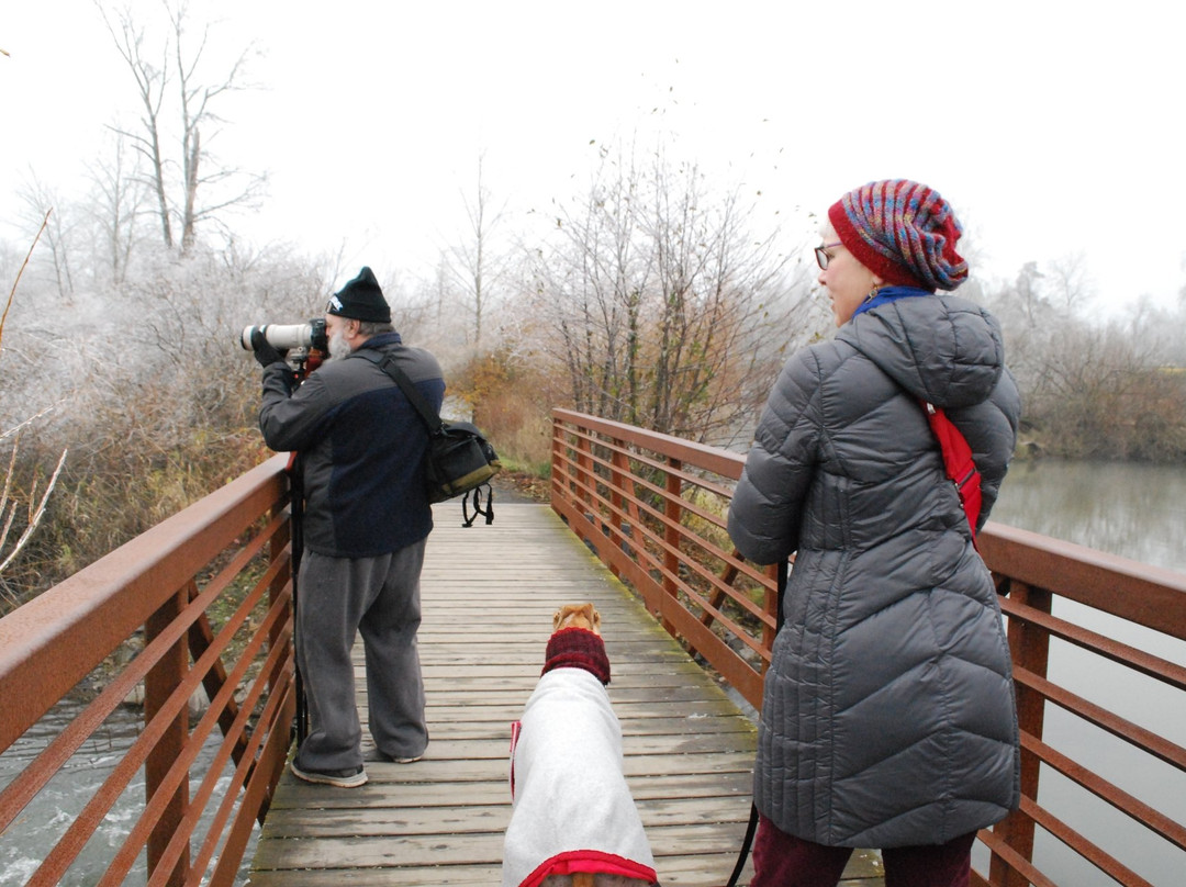 Delta Ponds City Park-尤金必去景点