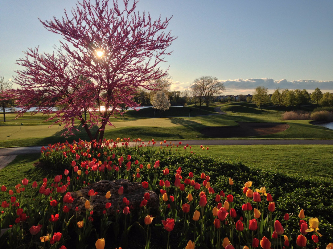 White Deer Run Golf Club-Vernon Hills必去景点