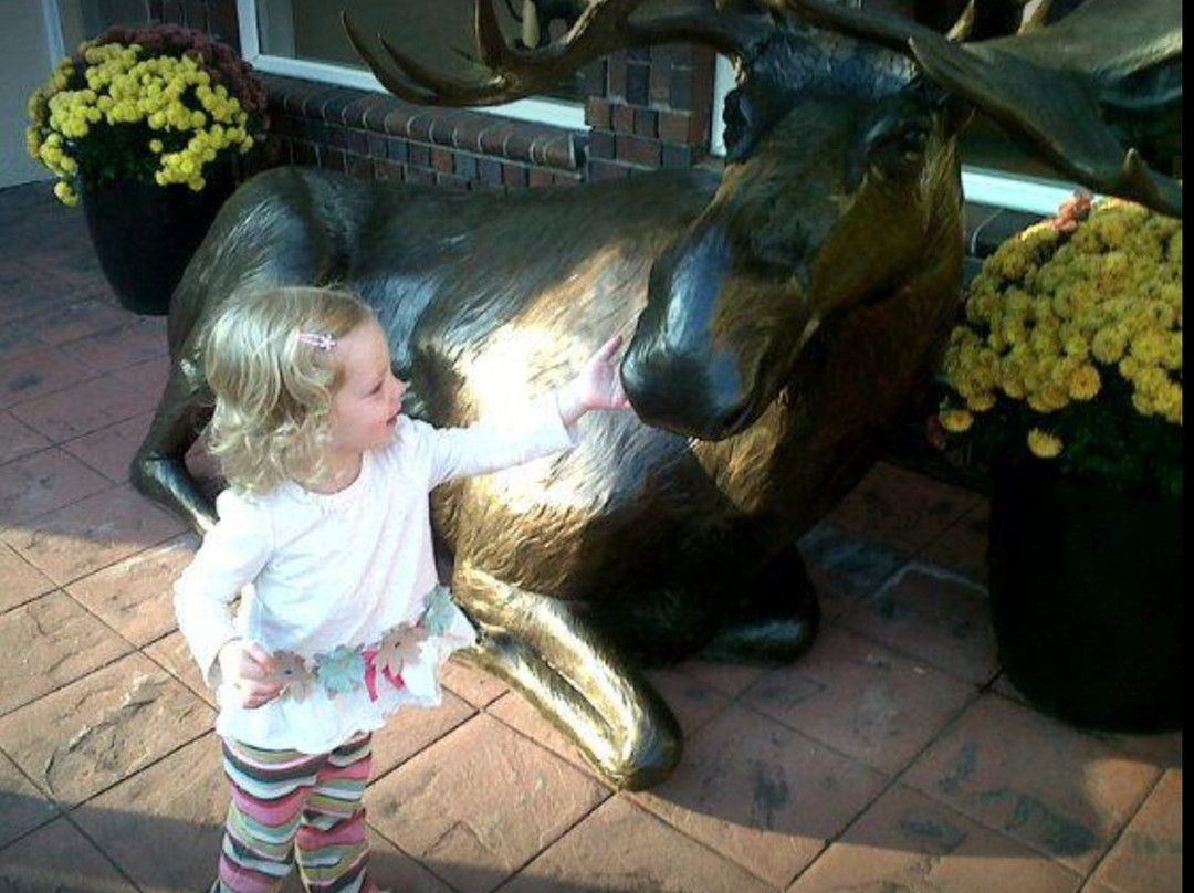 Caswell Sculpture Gallery-劳特代尔必去景点