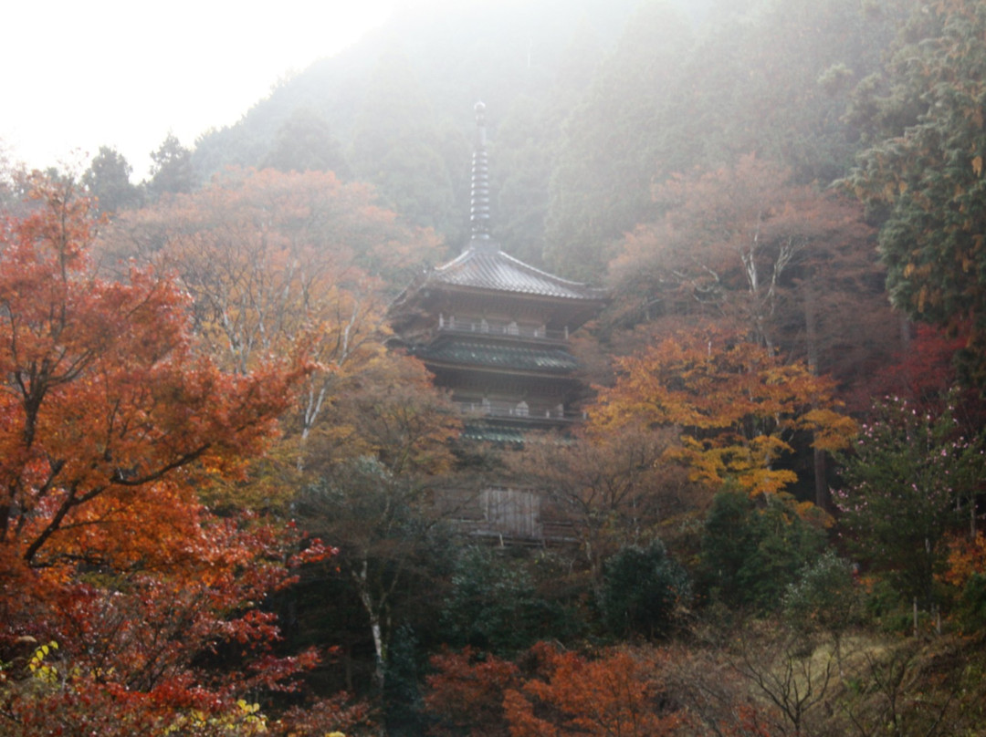 Kougenji Temple-丹波市必去景点