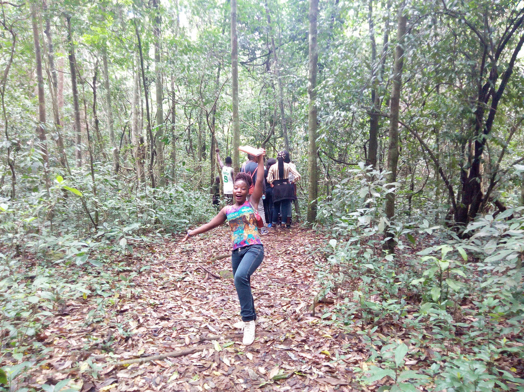 Budongo Forest-Western Region必去景点