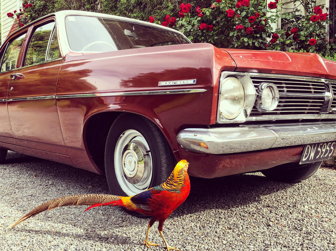 Llandaff Country Retreat B & B主图