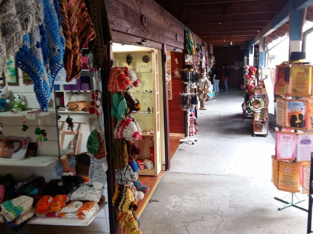 Mercado Fritz-比亚里卡必去景点