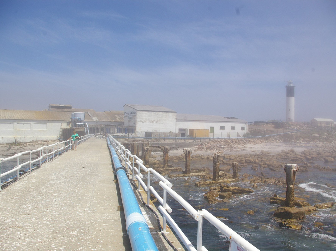 Fryer's Cove Vineyards-Doringbaai必去景点