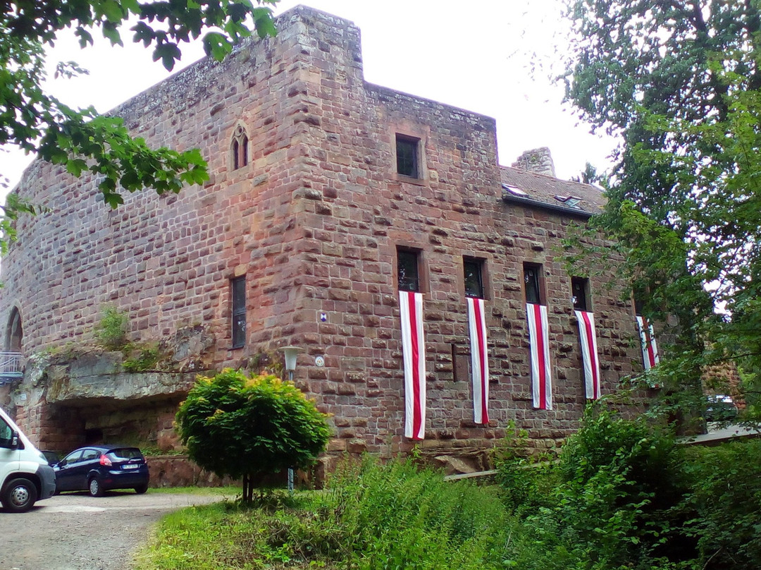Burg Wilenstein-Flörsheim景点图片