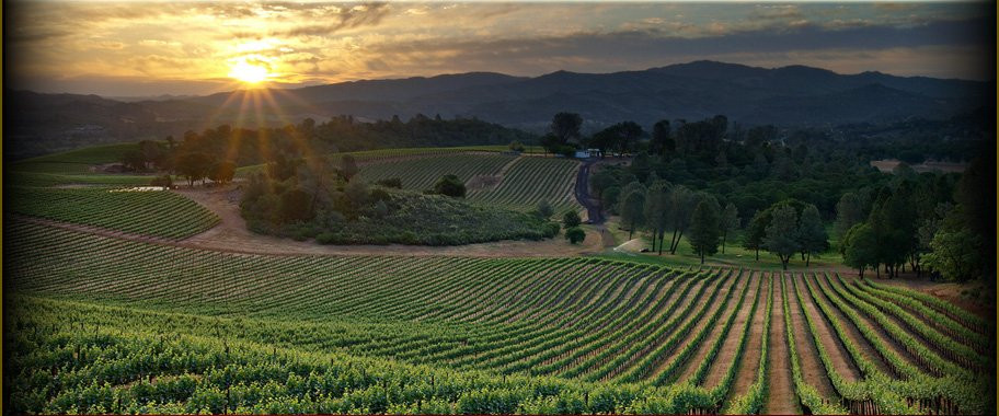 Vigilance Vineyards & Winery景点图片