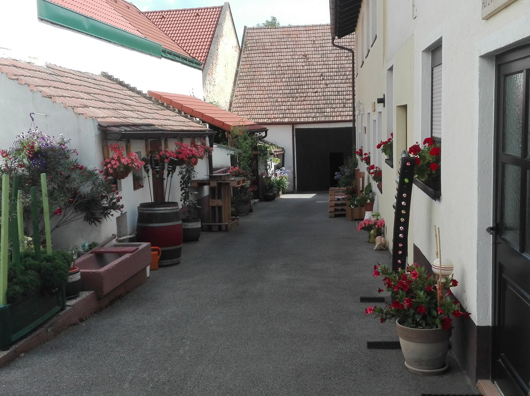 Winzerhof Lentsch主图