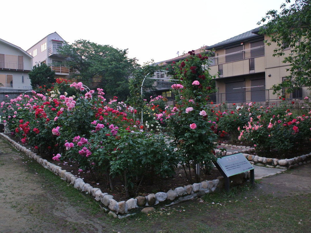 Iwagedaira Park-芦屋市必去景点