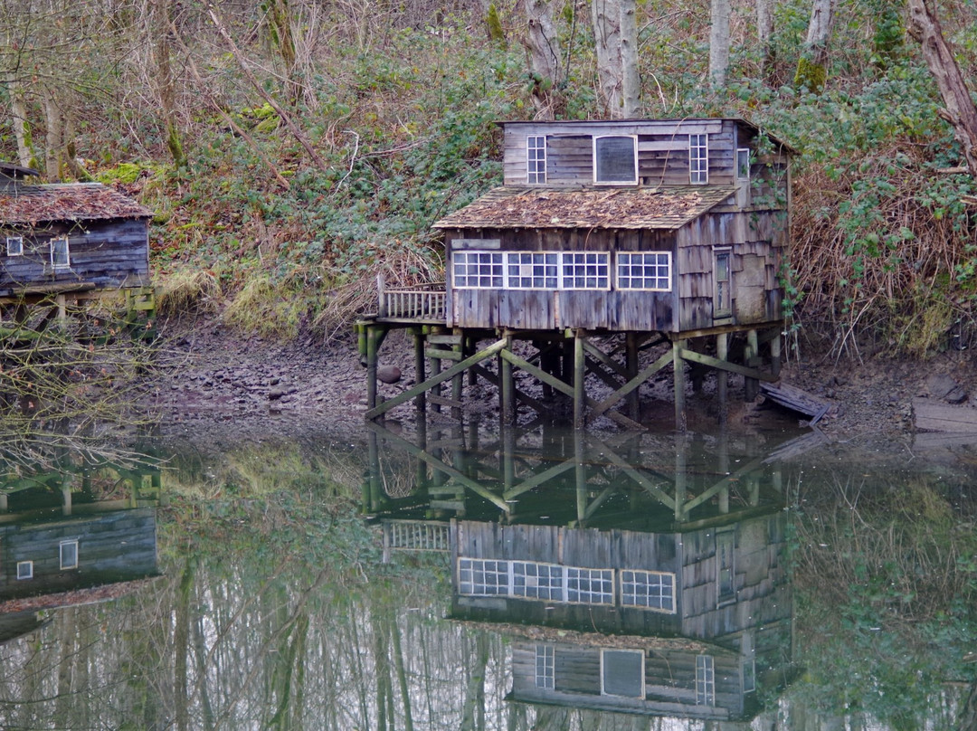 Maplewood Flats Conservation Area-北温哥华必去景点