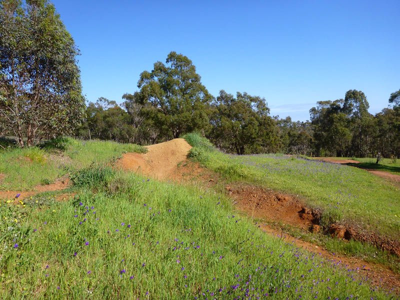 Goat Farm Mountain Bike Park景点图片