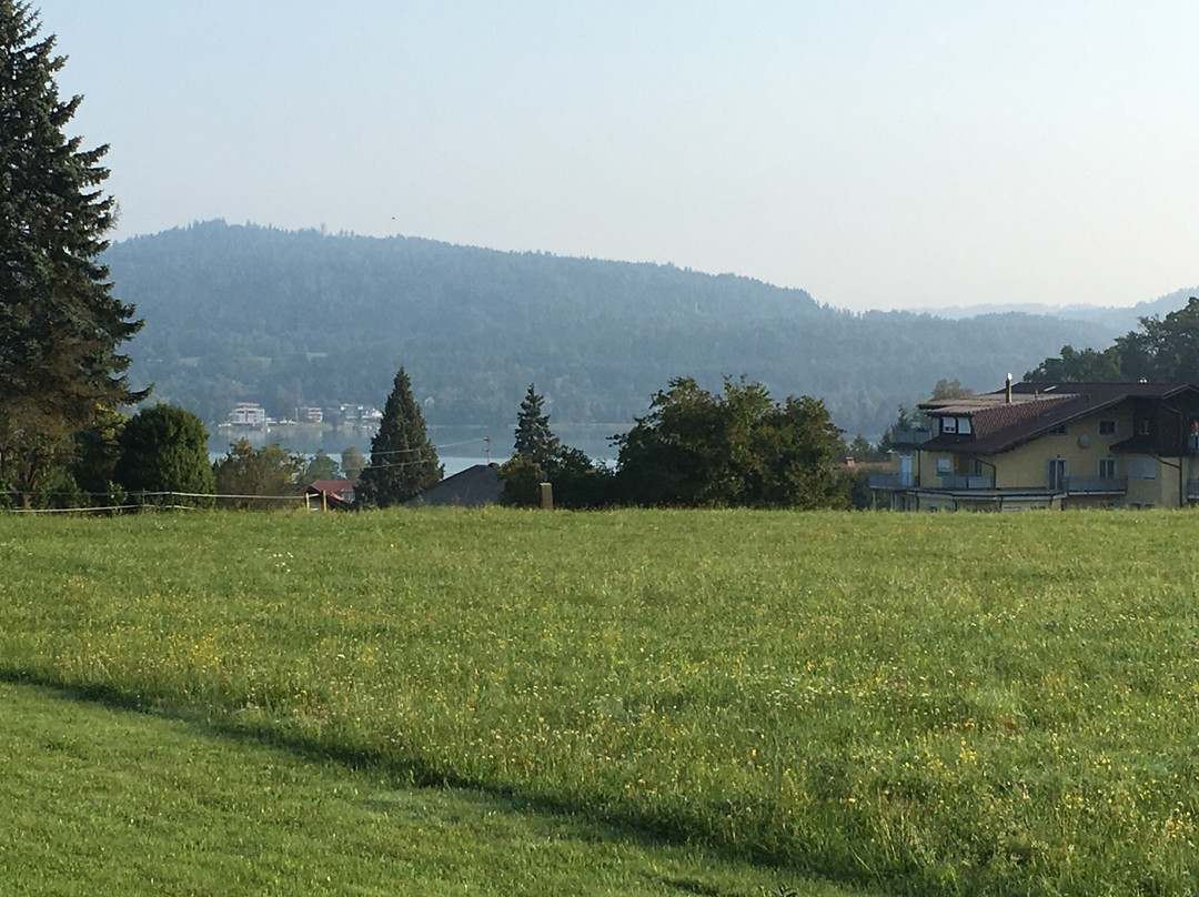 Reifnitz酒店住宿-Fruhstuckspension Safronhof