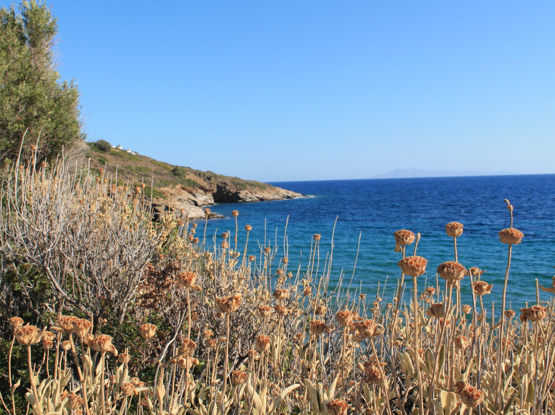 Agios Kyprianos Beach景点图片