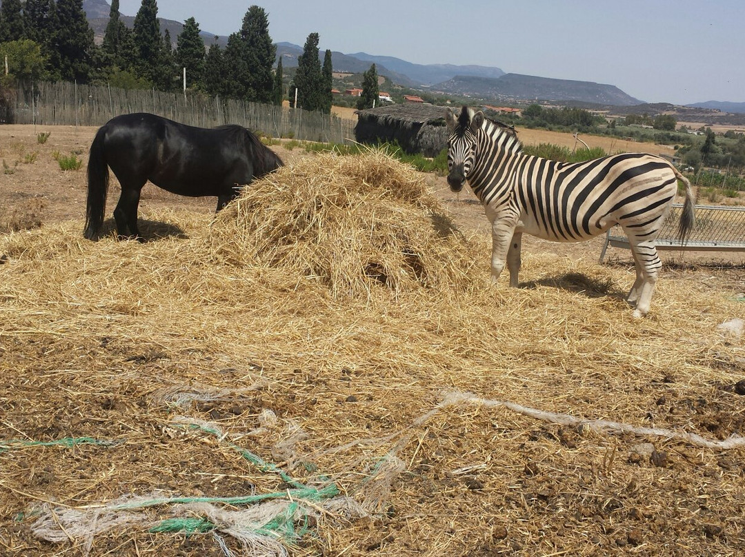 Parco Degli Angeli-Giba必去景点