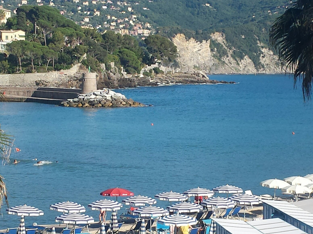 雷科旅游攻略图片