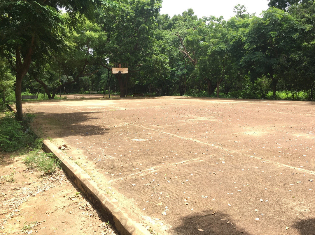 Parc Urbain Bängr-Weoogo景点图片