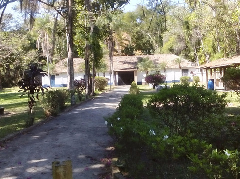 Lorena National Forest-Lorena必去景点