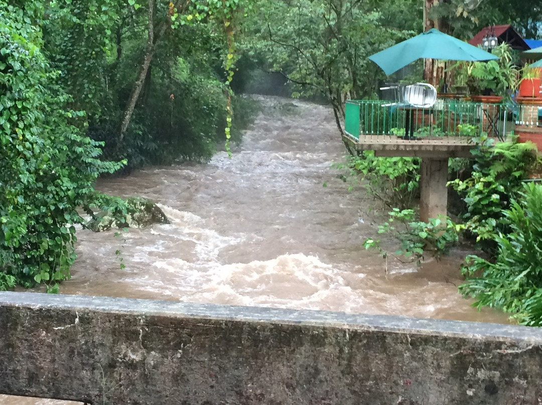 Cabanas La Jicarita主图