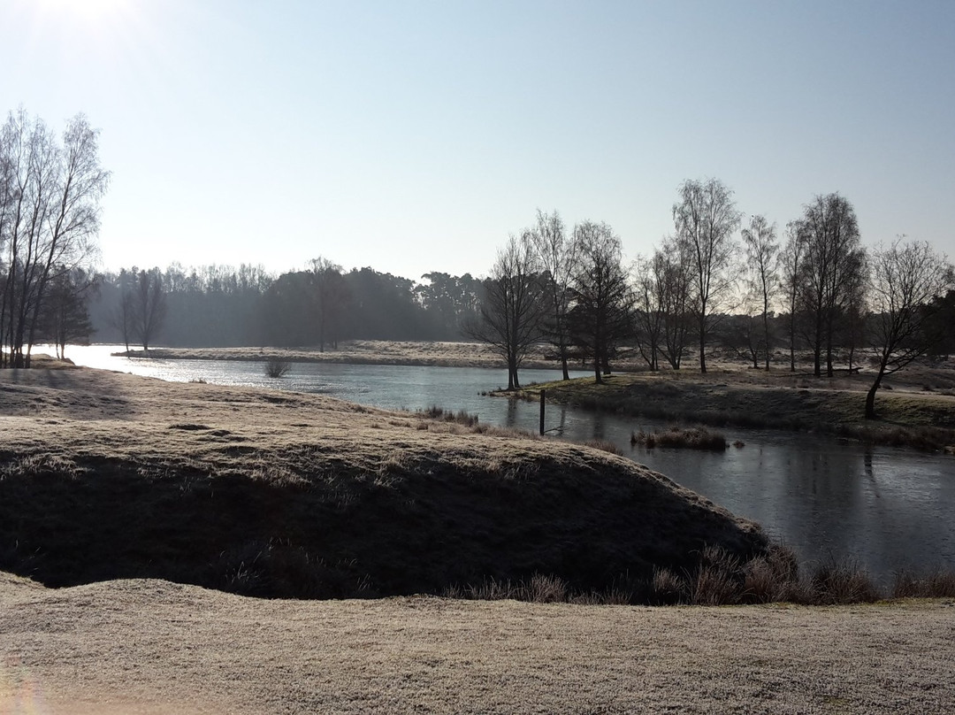 Boswachterij Dorst景点图片