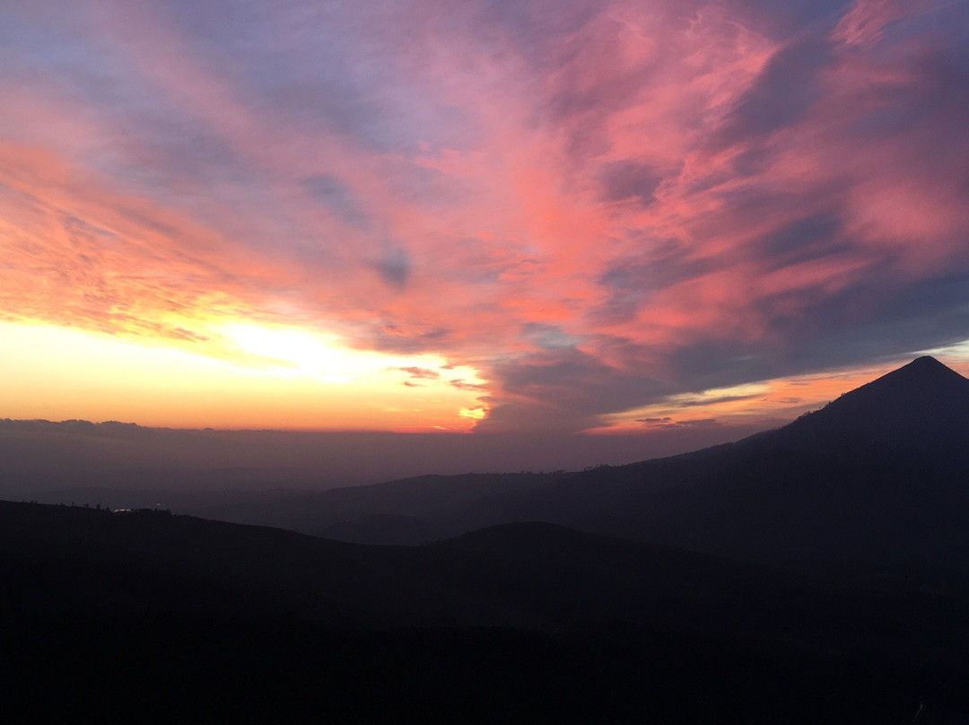 Bains MTB Trails-惠灵顿必去景点