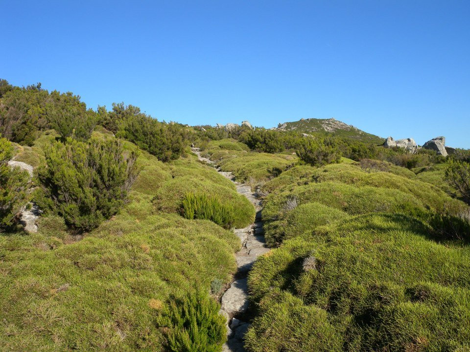 A Piedi Nel Parco景点图片