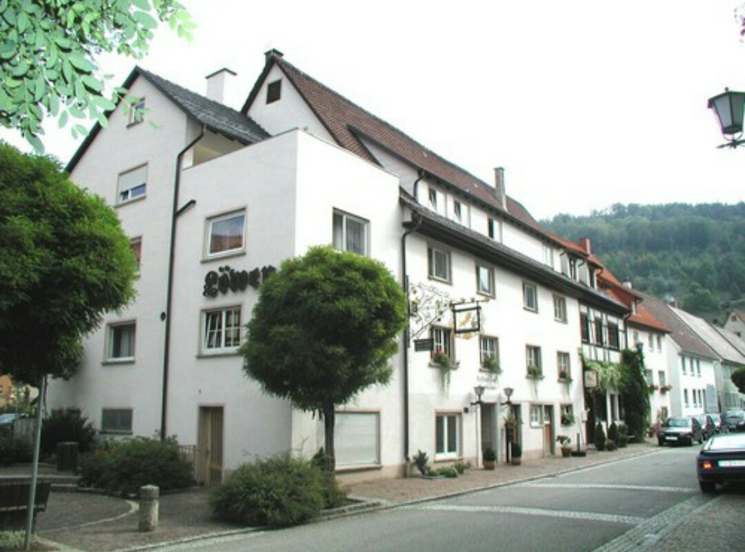Fridingen an der Donau酒店住宿-Loewen