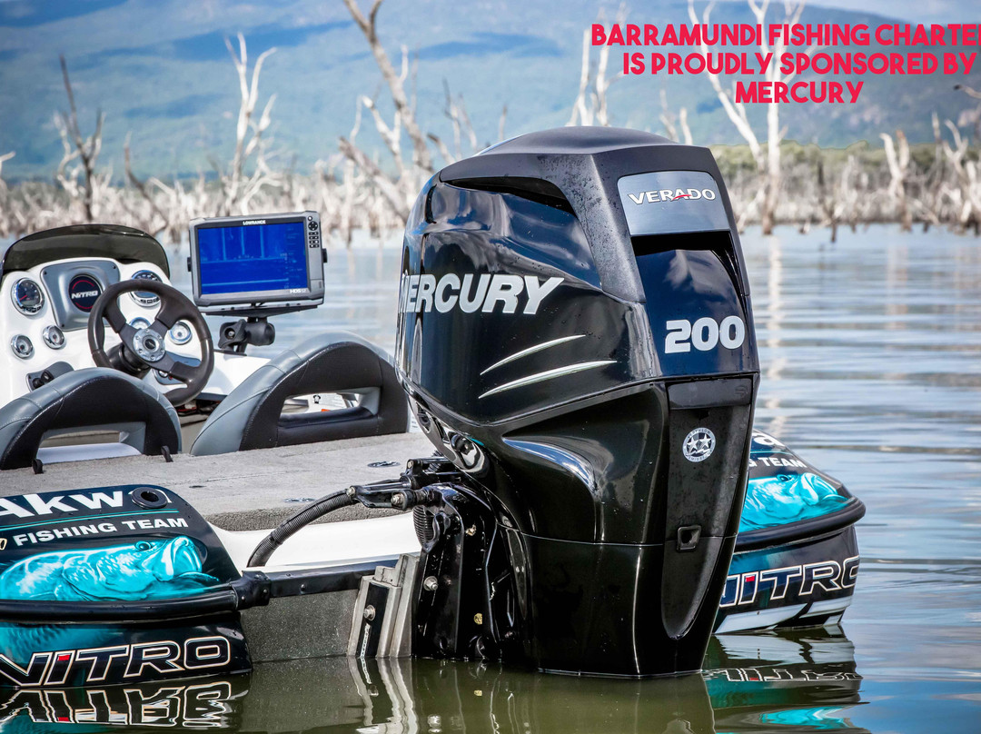 Barramundi Fishing Charters-Proserpine必去景点