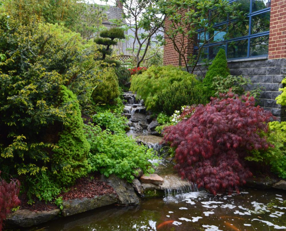 Jardin Japonais景点图片