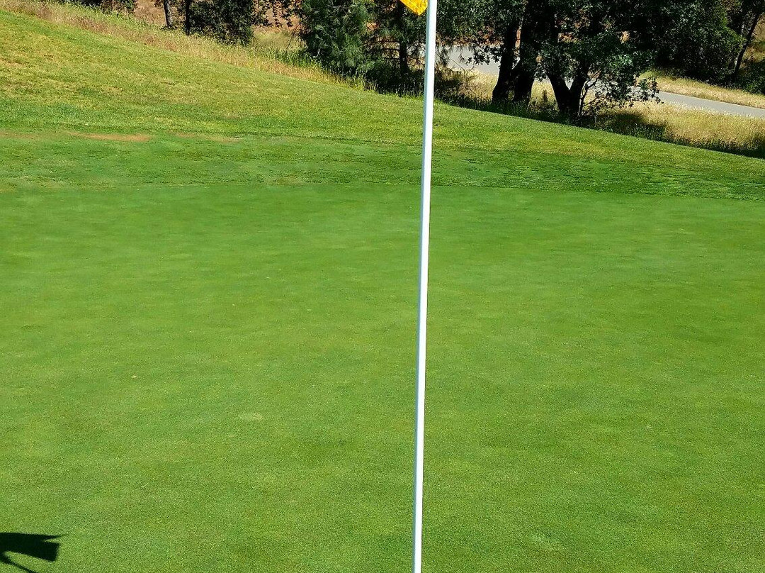 DarkHorse Golf Club景点图片